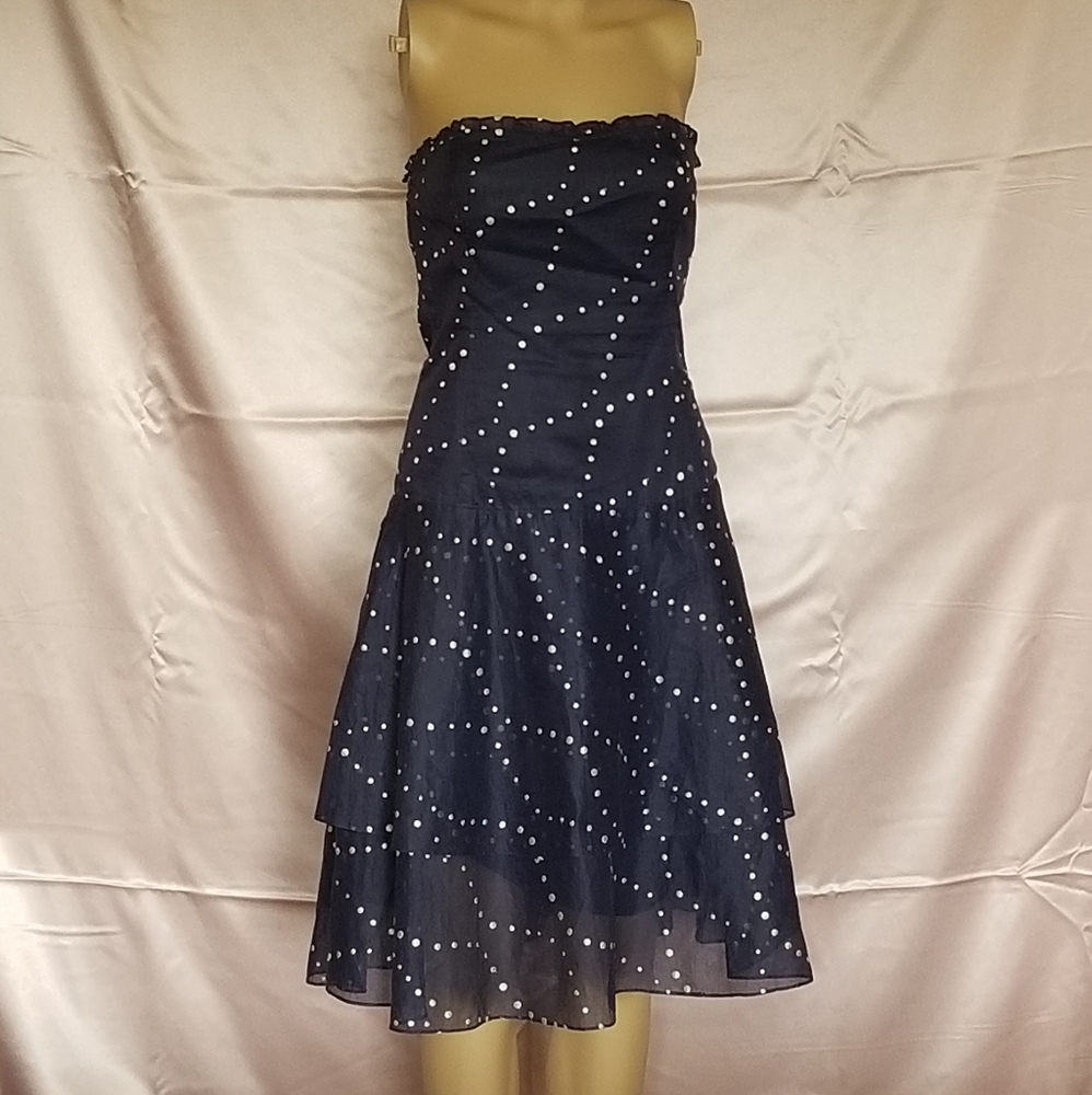 Blue Polka Dot Party Dress